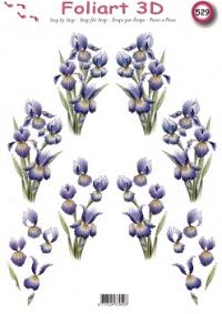 a529-paarse-bloemen--1n.jpg