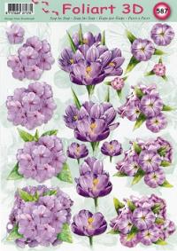 a587-paarse-bloemen-1n.jpg