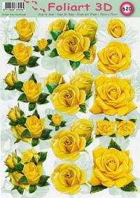 a620-gele-bloemen-1n.jpg