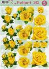 620 Gele bloemen