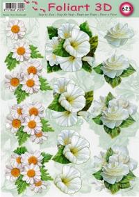 a623-witte-bloemen-1n.jpg