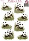630 Panda