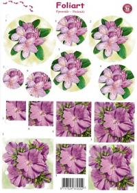 a678-paarse-bloemen-1n.jpg