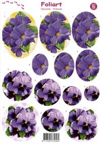 a679-paarse-viooltjes-1n.jpg